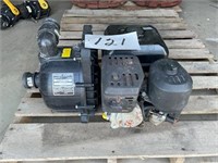 Pacer 2" Water Pump