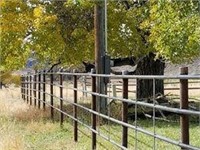 5- 20' Sections of Continuous Fence