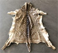 Deer Fawn Hide