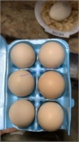 6 Fertile Croad Langshan Eggs - Gathered 4/12/21