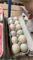 2 Doz Fertile Mixed Duck Eggs