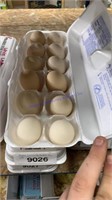 1 Doz Fertile Golden Laced Sebright Eggs