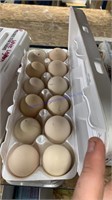 1 Doz Fertile Easter Egger Eggs