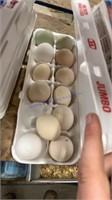 1 Doz Fertile Barnyard Mix Eggs
