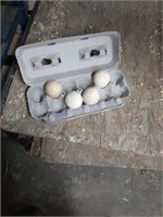 4 Fertile Muscovy Eggs