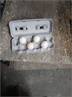 4 Fertile Turkey Eggs