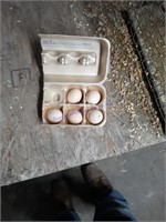 5 Fertile Serama Eggs