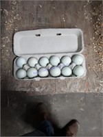 1 Doz Fertile Olive Egger Eggs
