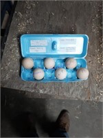 6 Peafowl Eggs - See Descrription