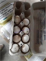 8 Fertile Polish Eggs