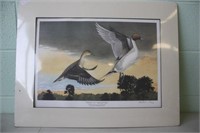 Signed & Numbered Duck Unlimited 465/600