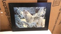 Wolf picture 3D