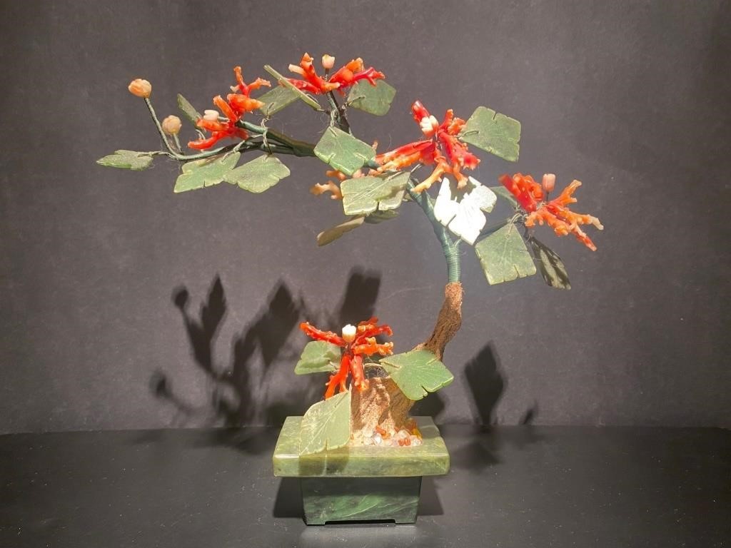 Chinese Jade Tree