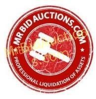 313 Surplus & Consignment Auction