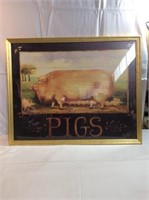 30 x 24“ framed pig picture