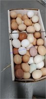 7 Doz Mixed Eating Eggs
