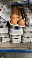 4 Doz Large Brown Eating Eggs - Free Range Eggs