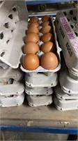 4 Doz Large Brown Eating Eggs - Free Range Eggs