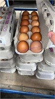 4 Doz Large Brown Eating Eggs - Free Range Eggs