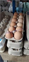 3 Doz Mixed Eating Eggs - Mostly Brown