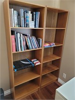 Book Shelves with Books