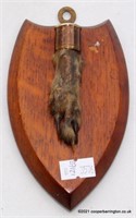 Taxidermy: Antique Eurasian Otter Paw Plaque
