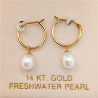 14K Earrings w/ Freshwater Pearl
