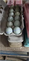 3 Doz Large Green Eating Eggs