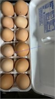 5 Doz Brown Eating Eggs