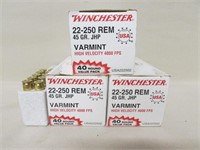 130 Rounds Winchester 22-250