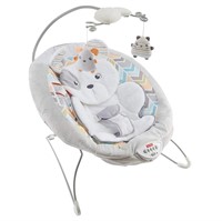 Fisher-Price Sweet Snugapuppy Dreams  Bouncer
