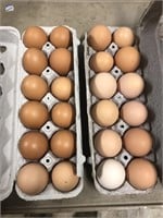 2 dozen Farm fresh brown eating eggs