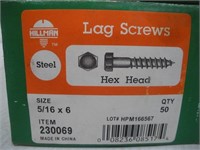 Lag Bolts and Washers, 7 inch Length