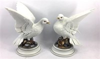 Pair of White Doves by Andrea Sadek