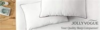 Jollyvogue Luxury Pillow Insert Set-2 Pieces
