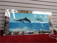 Lighted Dolphin mirror.