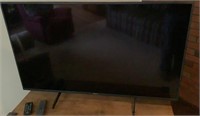 Sony 48" Flat Screen TV