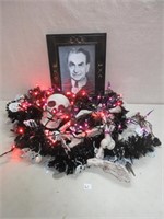 COOL HALLOWEAN LIGHTS AND FRAMED PHOTO