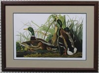 Mallard Duck by John J. Audubon
