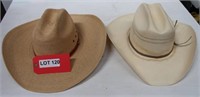 Deldhy Straw Hat & Stetson Hat