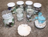 Jars of Sea Glass & Large Sand Dollar