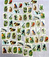 Vintage Bird Trading Cards