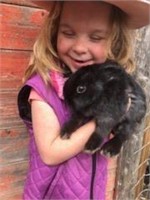 Year old Female Rabbit