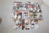 VARIOUS HOCKEY COLLECTIBLE CARDS