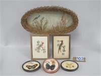 A COLLECTIBLE SELECTION OF FRAMED BUTTERFLIES, ETC