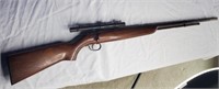 Remington 22 short or long bolt action gun