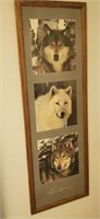 Wolves picture