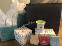 Scentsy Plug in and Thermal Pack