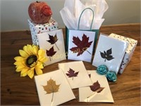 Apple and Card Set