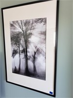Forest Tree Print